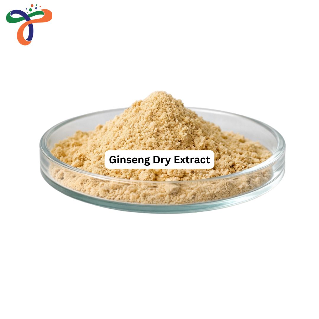 Ginseng Dry Extract